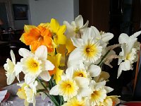 Easter Friends and Family April 3-5